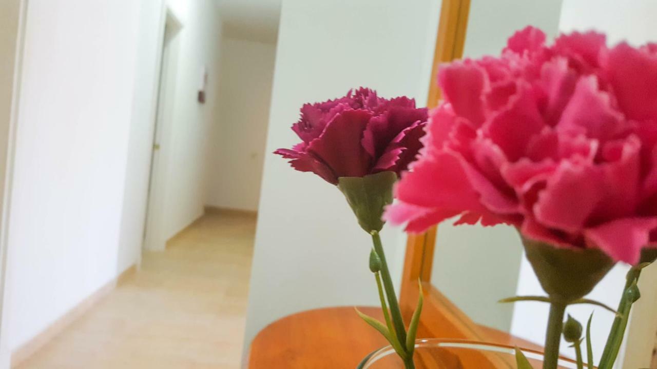דירות Atico גראן טאראחל מראה חיצוני תמונה