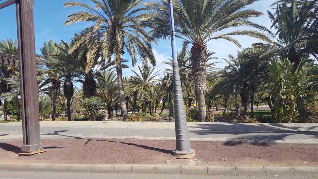 דירות Atico גראן טאראחל מראה חיצוני תמונה